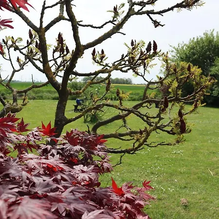 Apartmenthaus Wattwurm * Friedrichskoog