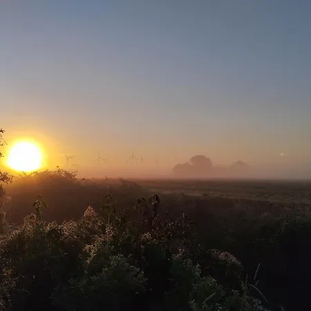Apartmenthaus Wattwurm * Friedrichskoog